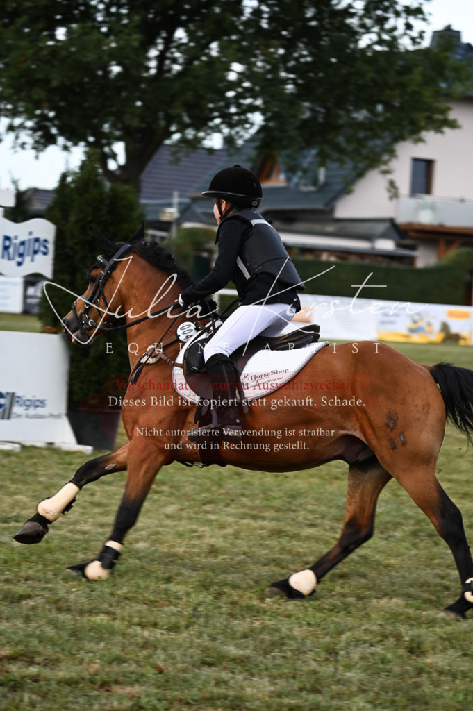 DSC_5556 | Pferde- und Turnierfotografie in Westsachsen. Pferdeportraits, Auftragszeichnungen und intuitive Kunst.