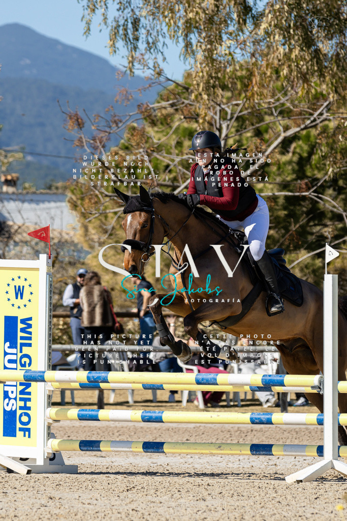 IMG_9932 | s-jay-photography - Realisiert mit Pictrs.com