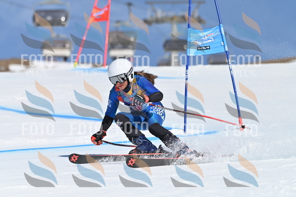 BGV_8505 | holidayphoto