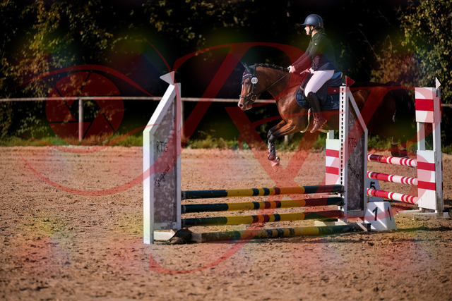 2026_10_03_Siefer-Hof_155352_Z81_73661432 | Professionelle Reitsport-, Turnier- und Eventfotografie von Robert Broda. Galerien mit ausgewählten und bearbeiteten Bildern direkt online ansehen und bestellen.