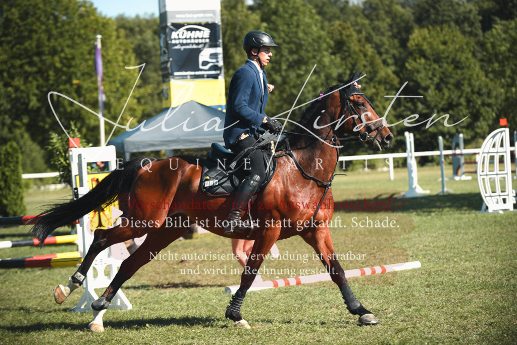 DSC_7708 | Pferde- und Turnierfotografie in Westsachsen. Pferdeportraits, Auftragszeichnungen und intuitive Kunst.