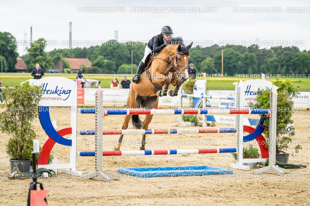 DSC06985 | Pferdegrafie