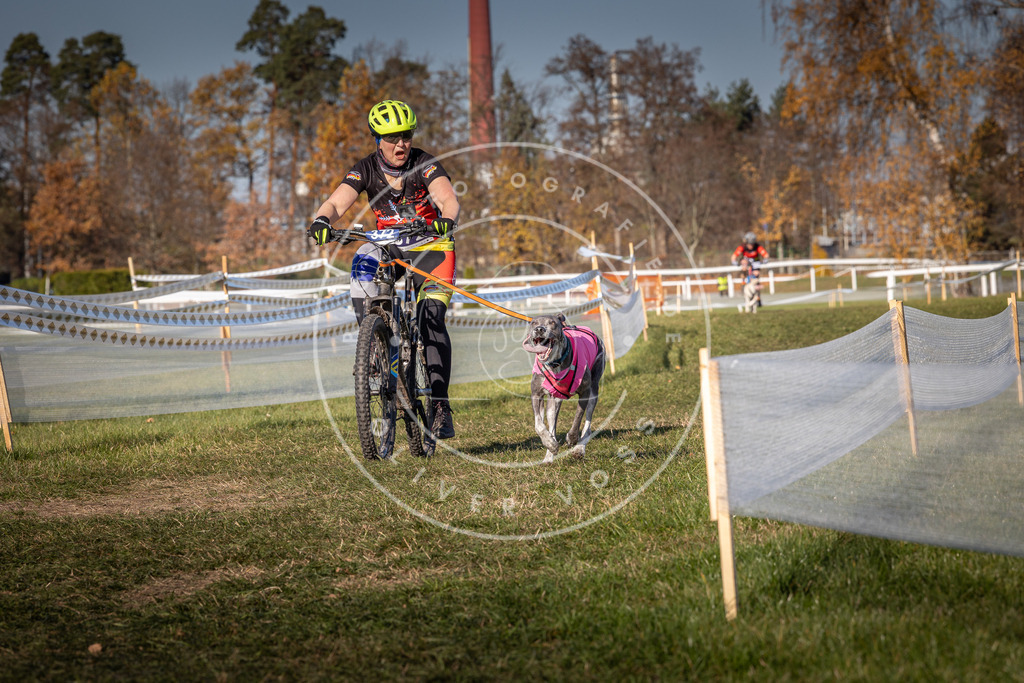CaniXpix_0L8A6446 | Hundefotografie, Tierfotograf, Pfotenfotografie, Fotoshooting Hund, Hunde Portrait, Hundesport, Hundeportraits, Heideshooting, Hunde, Sportfotograf, Hundefotograf, Turnierhundsport, THS,  - Realisiert mit Pictrs.com