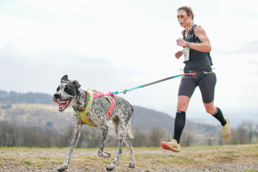 CaniXRunSA-253 | stephaniefillaphotographie - Realisiert mit Pictrs.com