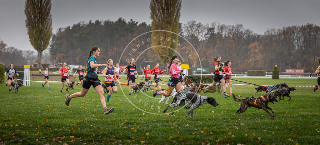 CaniXpix_DV3A8800 | Hundefotografie, Tierfotograf, Pfotenfotografie, Fotoshooting Hund, Hunde Portrait, Hundesport, Hundeportraits, Heideshooting, Hunde, Sportfotograf, Hundefotograf, Turnierhundsport, THS,  - Realisiert mit Pictrs.com