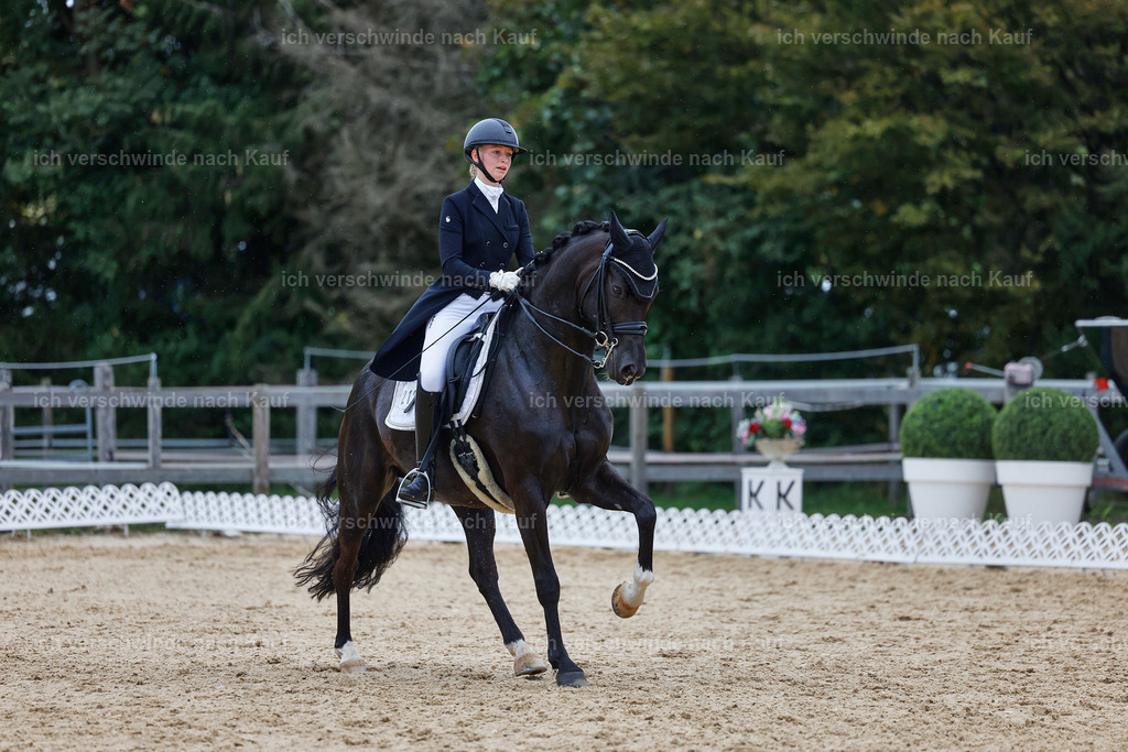 8_1-212-Klasse S_  -StoibPH-3943 | working equitationturnier fotograf videograf stoibphotography marixx film working equitation deutschland reitsport turnierfotografie eventfotografie equestrian events