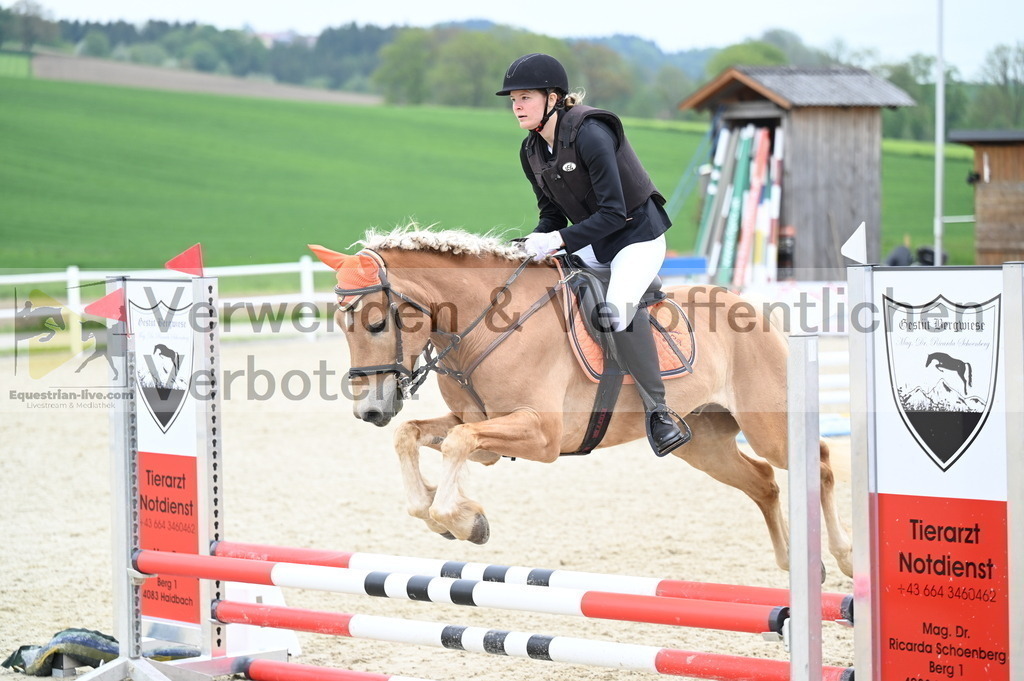 DSC_1961 | equestrian-live-com