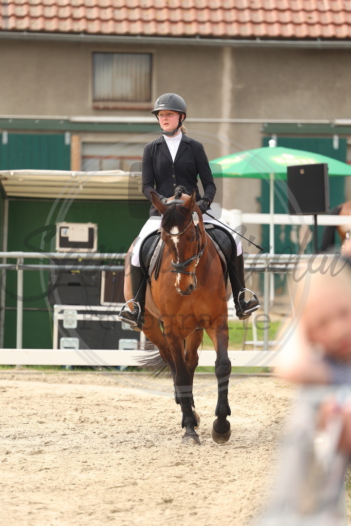 994A7551 | sabrinanicolaifotografie - Realisiert mit Pictrs.com