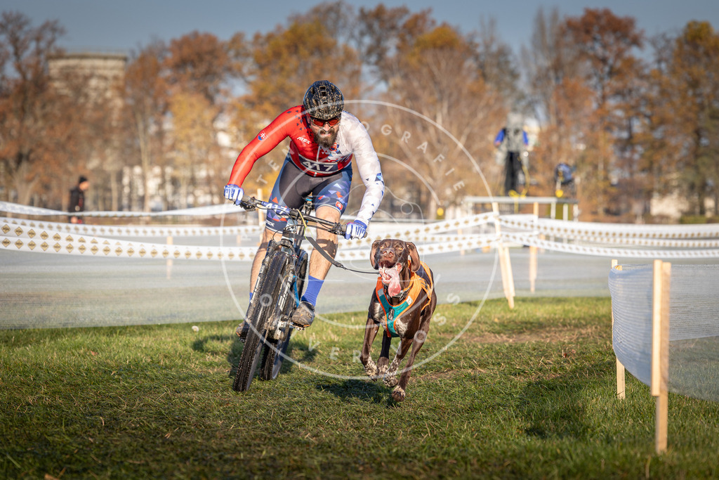 CaniXpix_0L8A4099 | Hundefotografie, Tierfotograf, Pfotenfotografie, Fotoshooting Hund, Hunde Portrait, Hundesport, Hundeportraits, Heideshooting, Hunde, Sportfotograf, Hundefotograf, Turnierhundsport, THS,  - Realisiert mit Pictrs.com