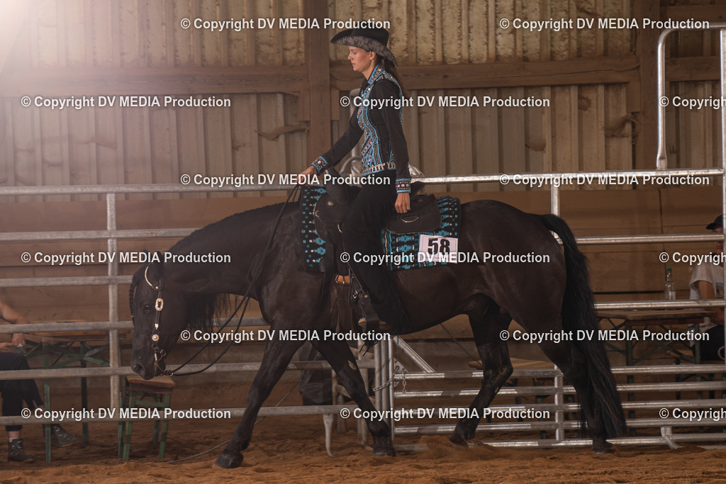 NID00237 | dv-media-shop - Realisiert mit Pictrs.com