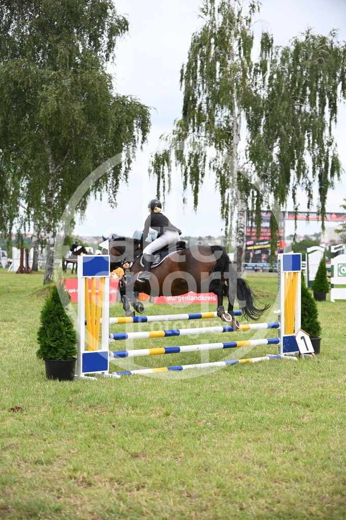 DSC_1166 | sattelsport - Realisiert mit Pictrs.com