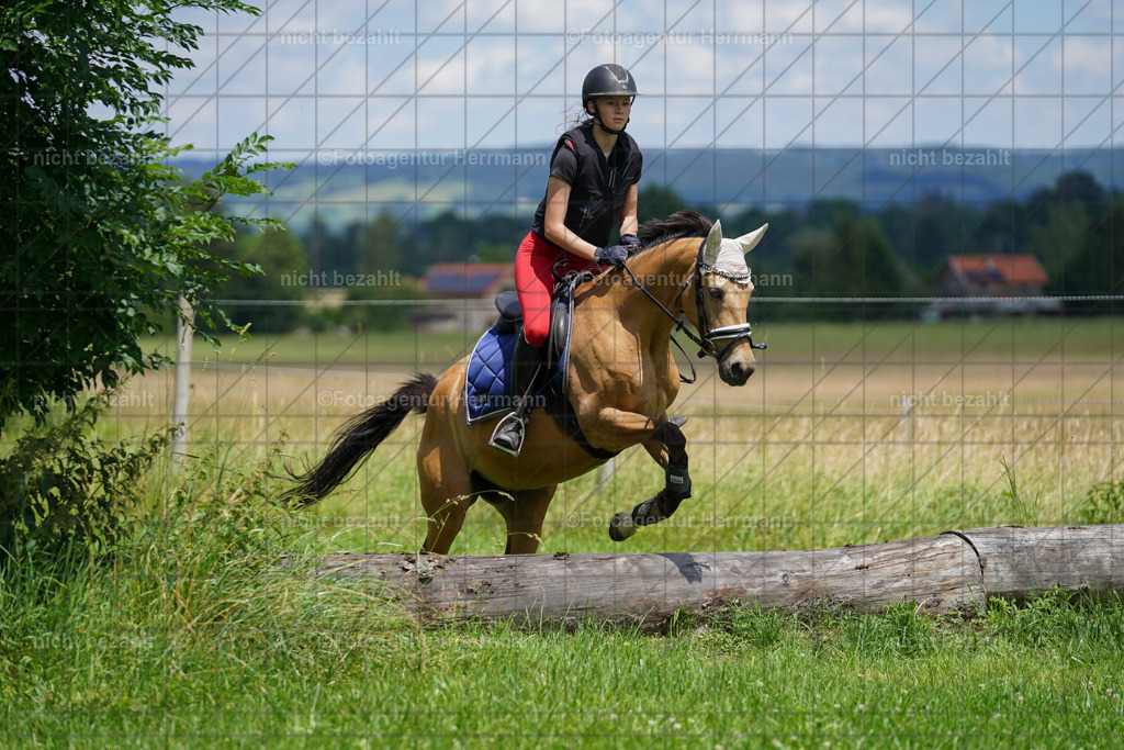 20240622-FAH07251 | Turnierfotografen Bayern, Reitsportbilder aus dem Geländekurs mit Felix Etzel auf dem Gut Waitzacker 2024