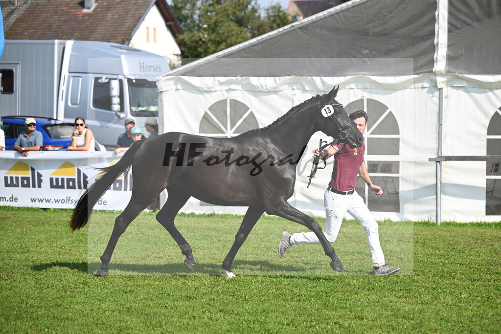 Kat-Nr. 13 Sunrise_Hoffmann_34240223 | hf-fotografie - Realisiert mit Pictrs.com