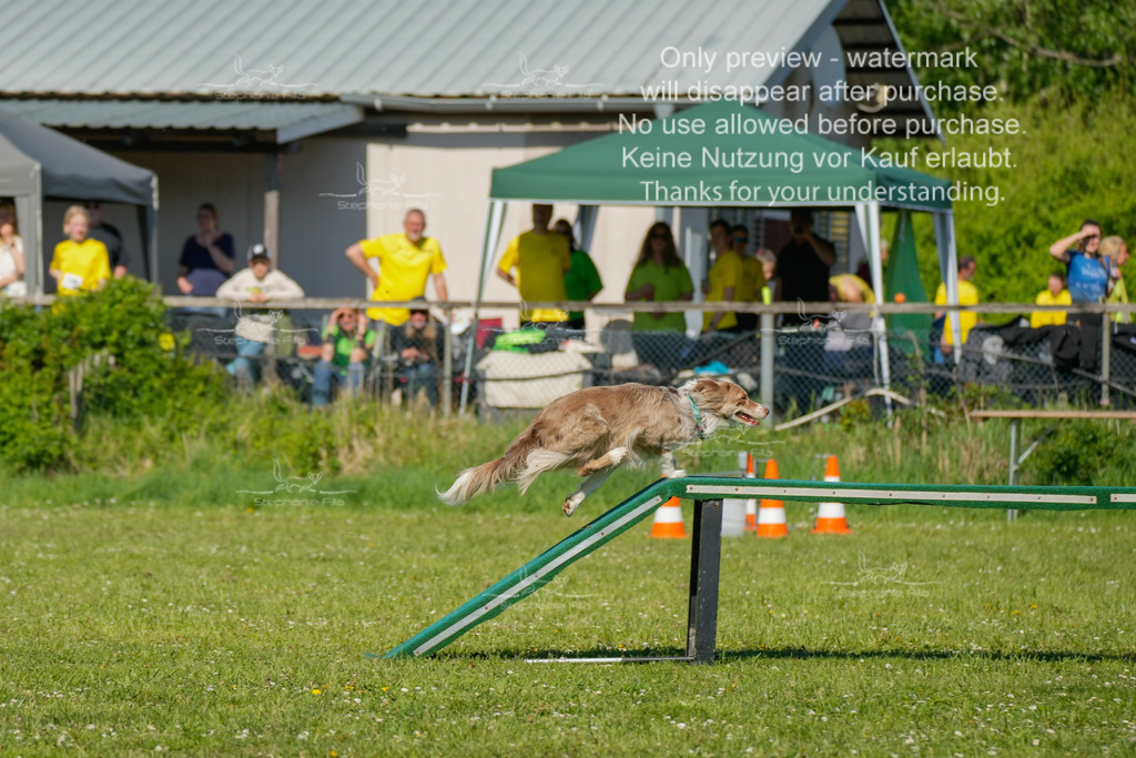 Sa_CSC-131 | stephaniefillaphotographie - Realisiert mit Pictrs.com