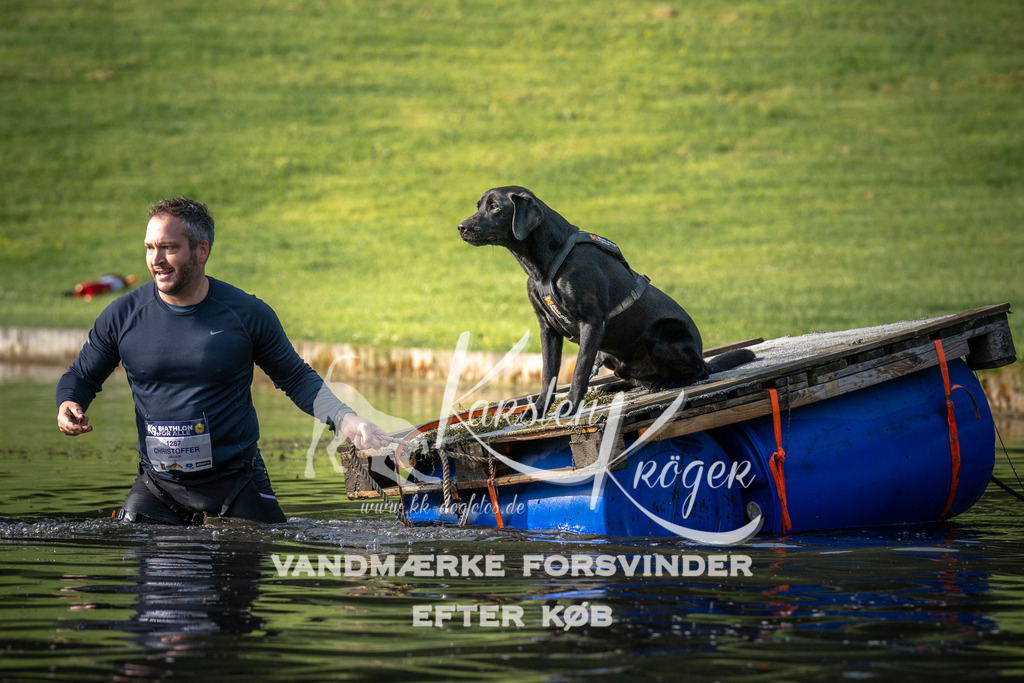 _ZZ941360712 | kk-dogfotos