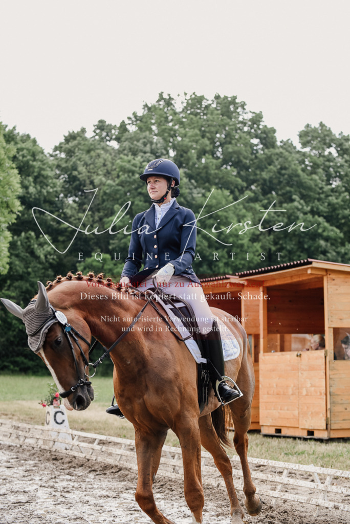 DSC_9897 | Pferde- und Turnierfotografie in Westsachsen. Pferdeportraits, Auftragszeichnungen und intuitive Kunst.