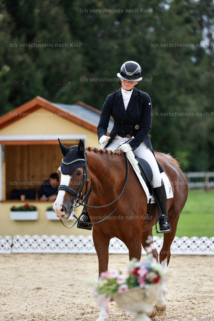 11-201-Dressur S___-StoibPH-964 | working equitationturnier fotograf videograf stoibphotography marixx film working equitation deutschland reitsport turnierfotografie eventfotografie equestrian events