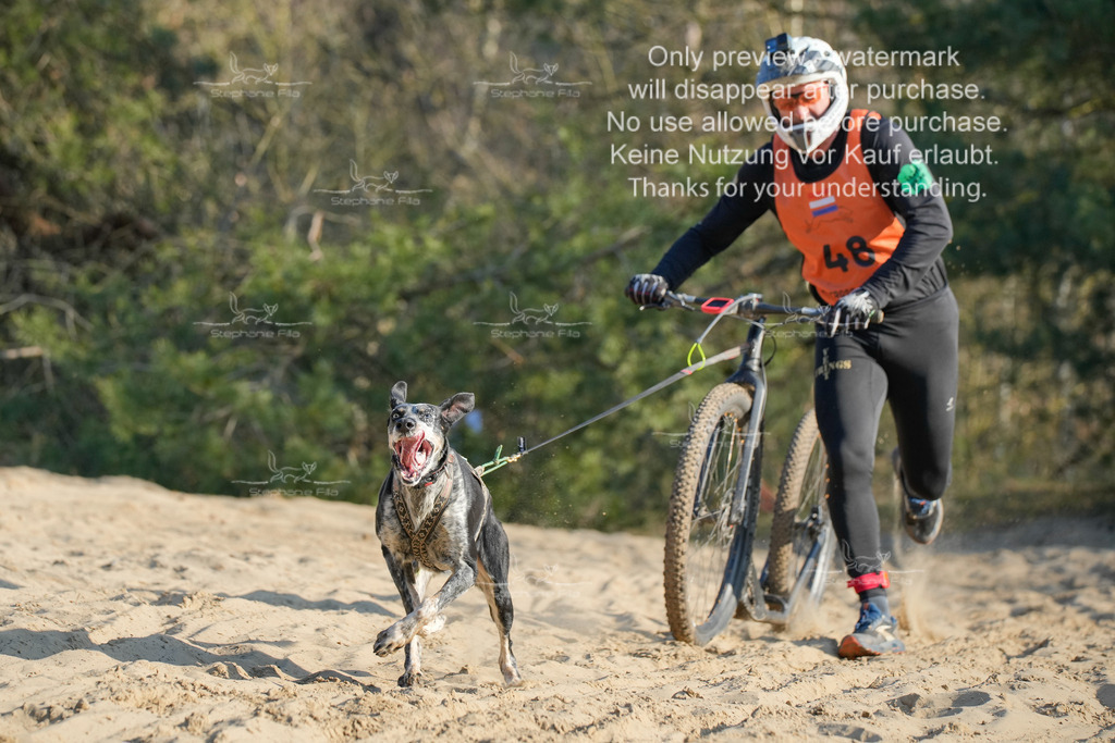 So_Scooter-301 | stephaniefillaphotographie - Realisiert mit Pictrs.com