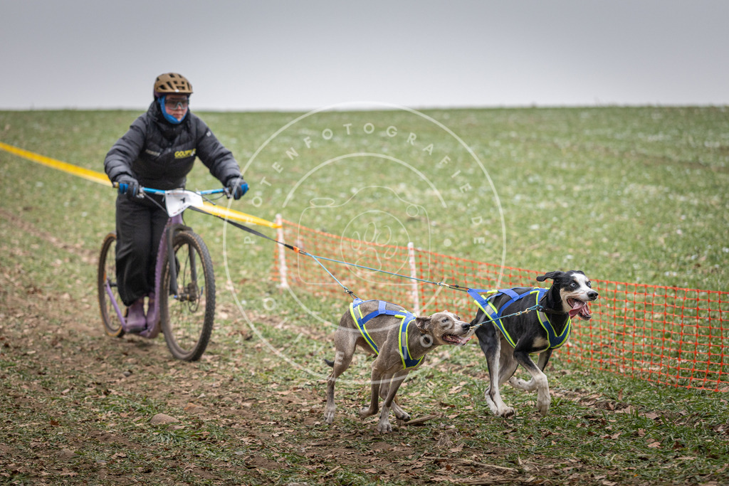 Pfotenfotografie_DV3A2140 | Hundefotografie, Tierfotograf, Pfotenfotografie, Fotoshooting Hund, Hunde Portrait, Hundesport, Hundeportraits, Heideshooting, Hunde, Sportfotograf, Hundefotograf, Turnierhundsport, THS,  - Realisiert mit Pictrs.com