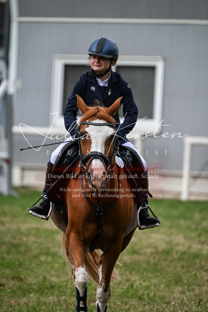 DSC_8620 | Pferde- und Turnierfotografie in Westsachsen. Pferdeportraits, Auftragszeichnungen und intuitive Kunst.