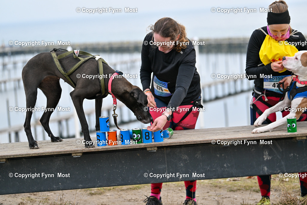 DSC_3750 | Hallo und herzlich Willkommen auf meiner Shop-Seite Fynn Most.

Ich wünsche Dir viel Spaß beim stöbern durch die Bilder, wenn Du Fragen hast oder Bilder vermisst, kannst du mir gerne eine Nachricht schreiben. - Realisiert mit Pictrs.com