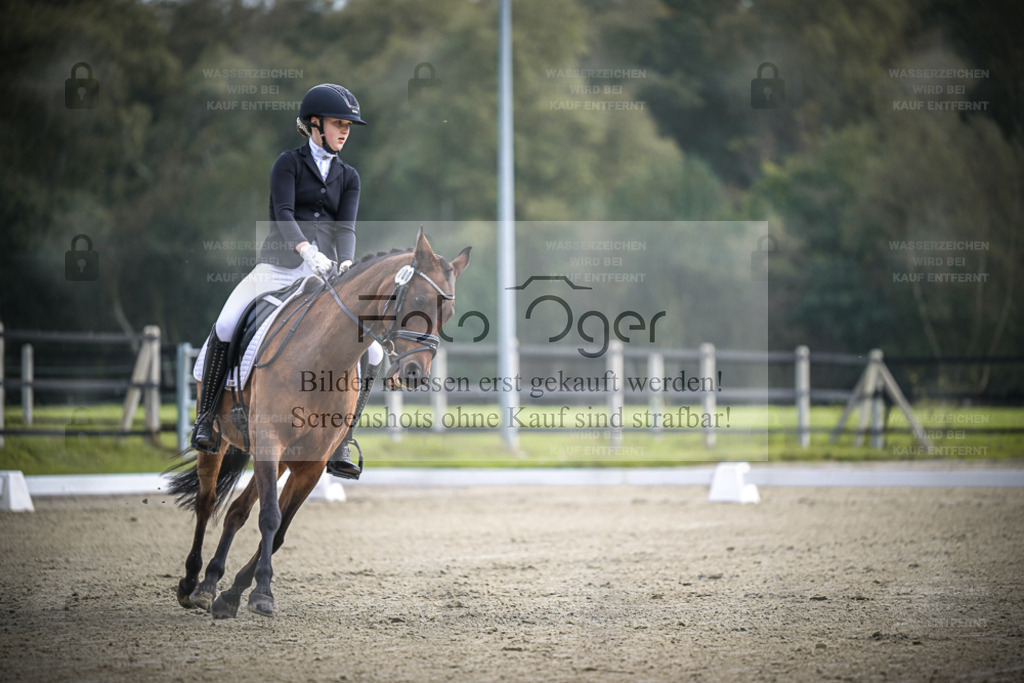 DOS_B451 | Entdecke hochwertige Reitturnierfotos von Foto Oger. Professionell, emotional und authentisch – jetzt Lieblingsmomente im Shop bestellen. - Realisiert mit Pictrs.com