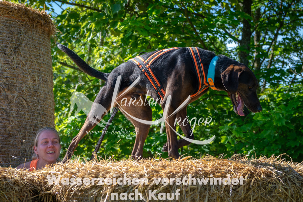 0932STR_5158 | kk-dogfotos