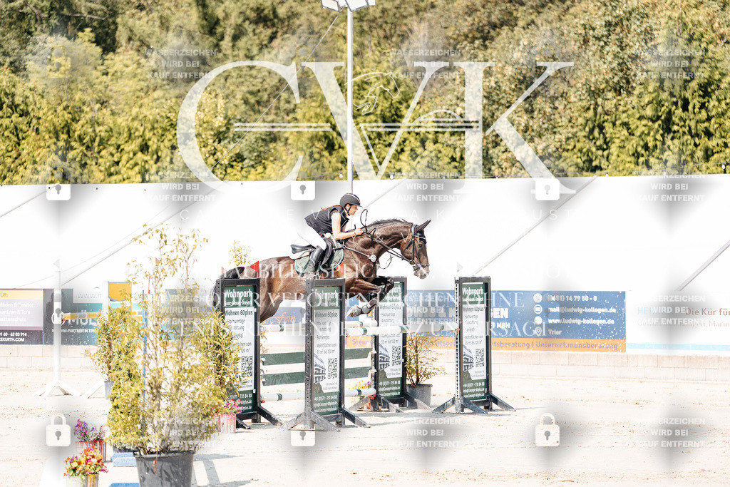 CK901339 | Turnierfotografie Pferdefotografie Trier Rheinland-Pfalz Pferdesport Reitsport Tierfotografie Sportfotografie Pferdevideo Pferdevideografie Equestrianvideography equestrianphotography  - Realisiert mit Pictrs.com
