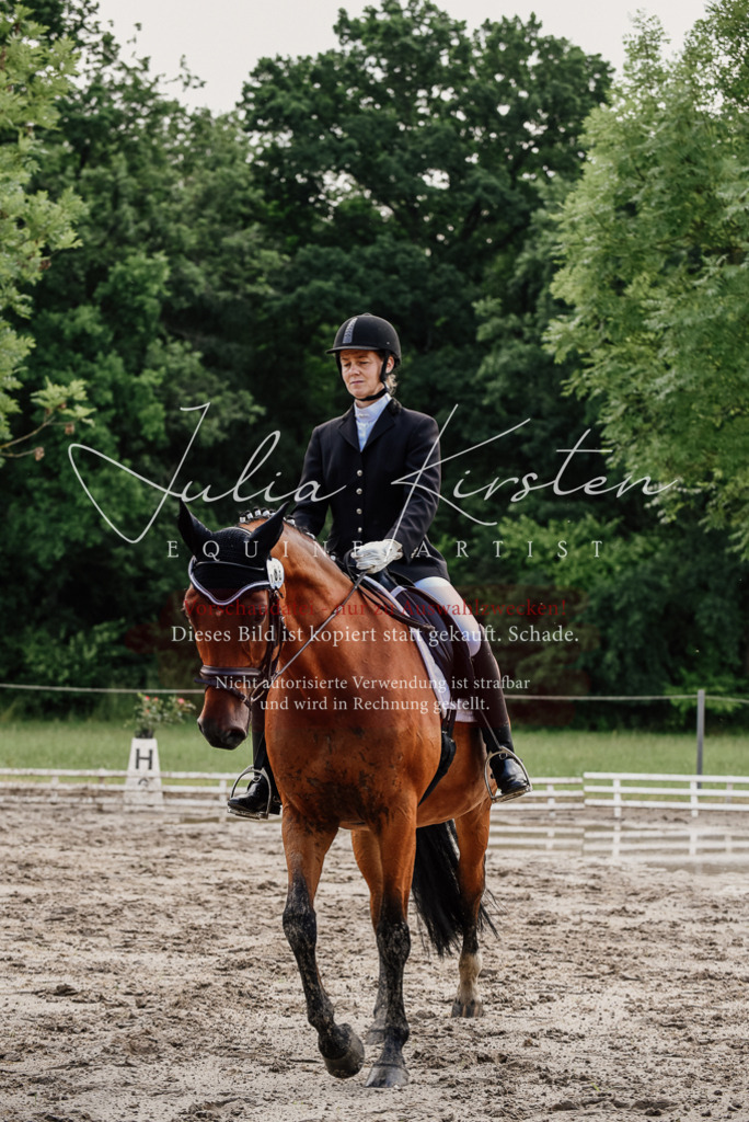DSC_9735 | Pferde- und Turnierfotografie in Westsachsen. Pferdeportraits, Auftragszeichnungen und intuitive Kunst.