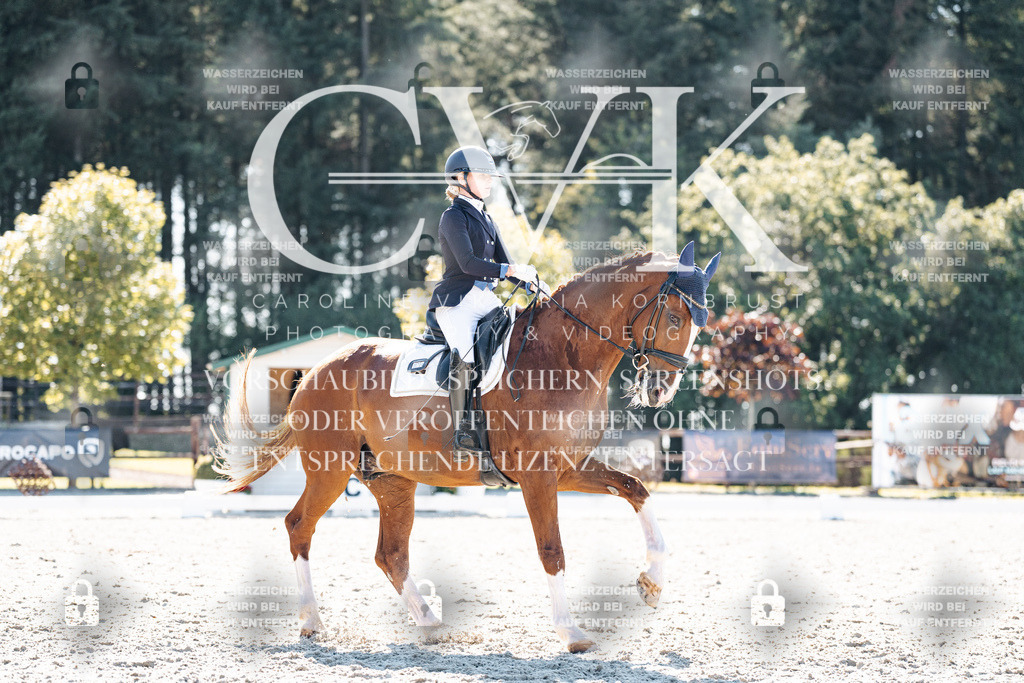 CK905509 | Turnierfotografie Pferdefotografie Trier Rheinland-Pfalz Pferdesport Reitsport Tierfotografie Sportfotografie Pferdevideo Pferdevideografie Equestrianvideography equestrianphotography  - Realisiert mit Pictrs.com