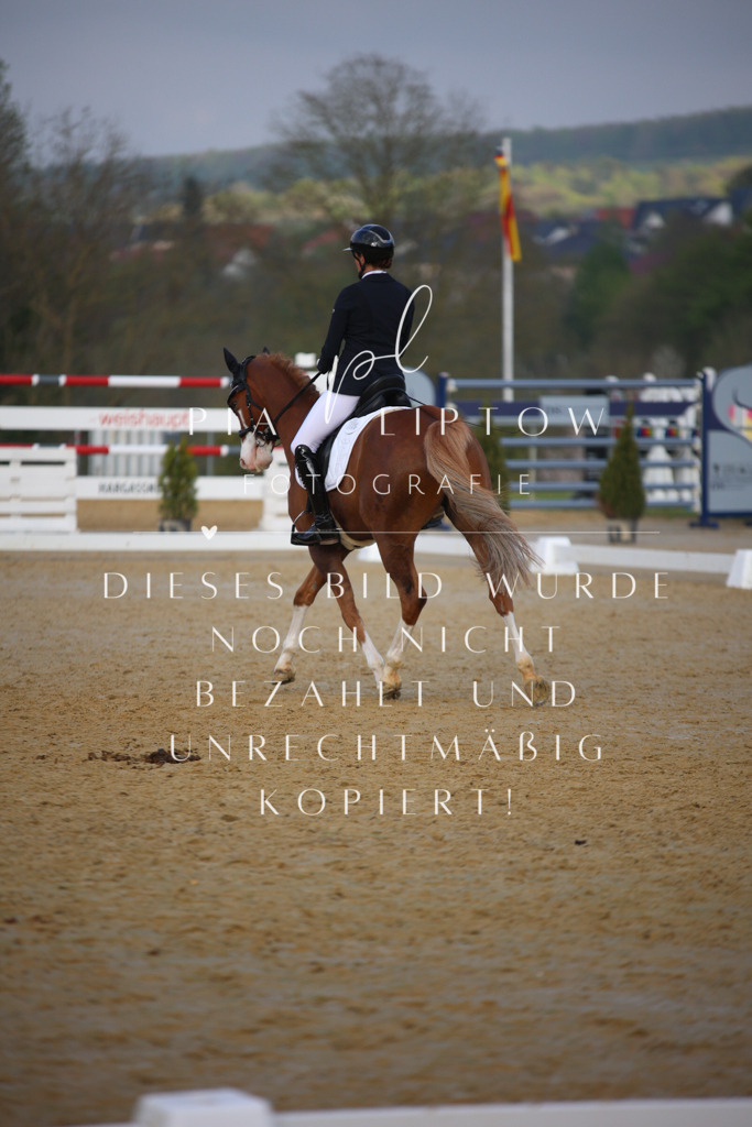 IMGT8431 | pl-fotografie