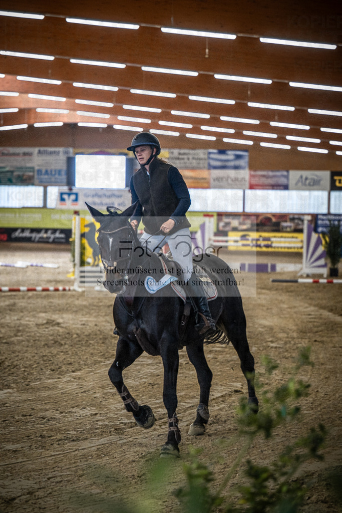 DOS_0091 | Entdecke hochwertige Reitturnierfotos von Foto Oger. Professionell, emotional und authentisch – jetzt Lieblingsmomente im Shop bestellen.Deutschlandweite Turnierfotografie. - Realisiert mit Pictrs.com