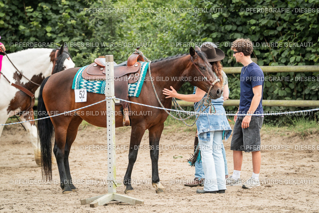 DSC04110 | Pferdegrafie