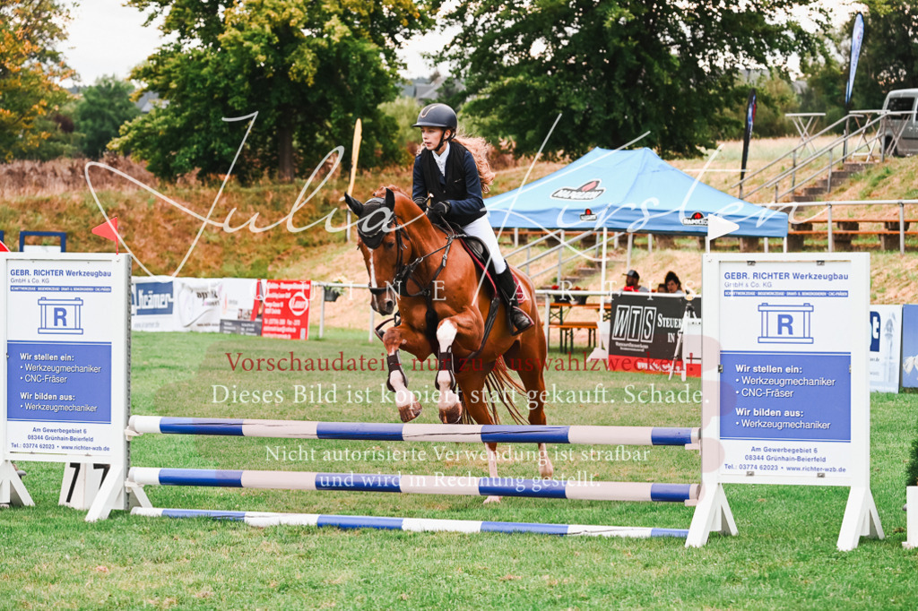 DSC_5911 | Pferde- und Turnierfotografie in Westsachsen. Pferdeportraits, Auftragszeichnungen und intuitive Kunst.