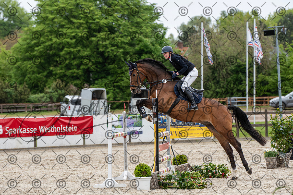 KPT_8417 | andre_photographic