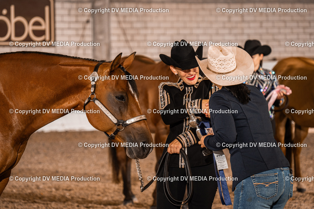 ZH100073 | dv-media-shop - Realisiert mit Pictrs.com