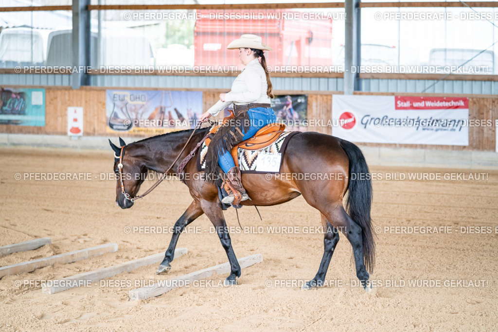 DSC07747 | Pferdegrafie