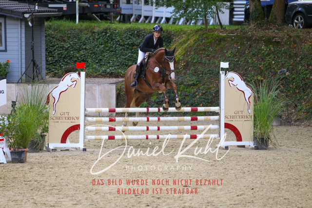 DKP40577 | Turniersportfotografie; Pferdefotografie; Dressurfotografie