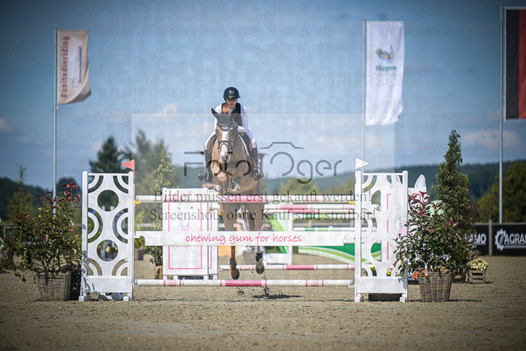 DOS_3976 | Entdecke hochwertige Reitturnierfotos von Foto Oger. Professionell, emotional und authentisch – jetzt Lieblingsmomente im Shop bestellen.Deutschlandweite Turnierfotografie. - Realisiert mit Pictrs.com
