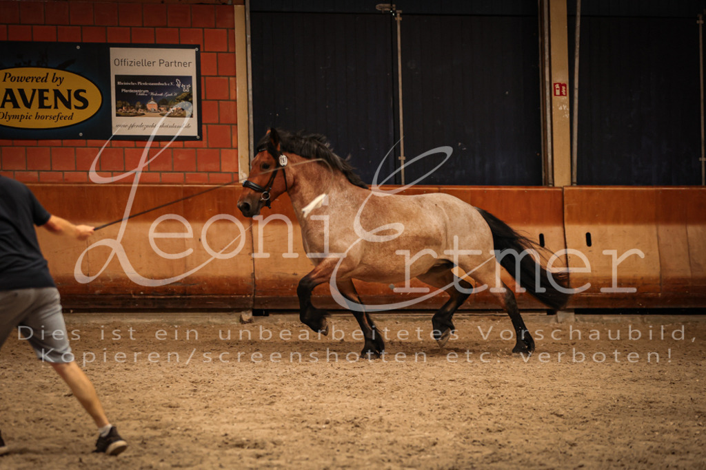 SaFL00365 | Leoni Ertmer Photography - Realisiert mit Pictrs.com