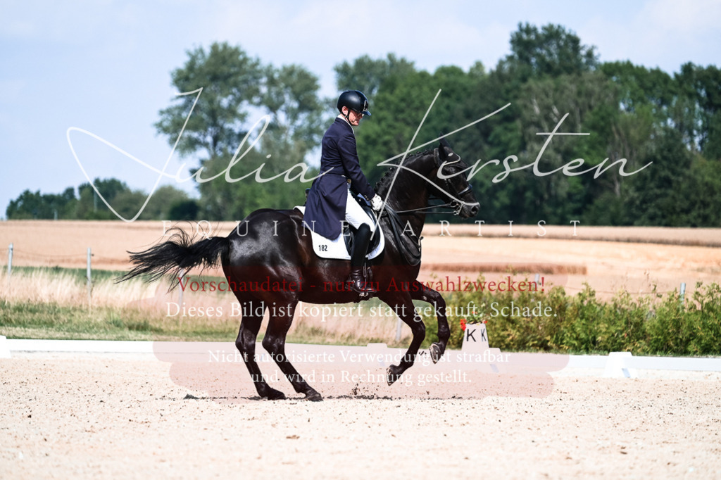 DSC_3027 | Pferde- und Turnierfotografie in Westsachsen. Pferdeportraits, Auftragszeichnungen und intuitive Kunst.