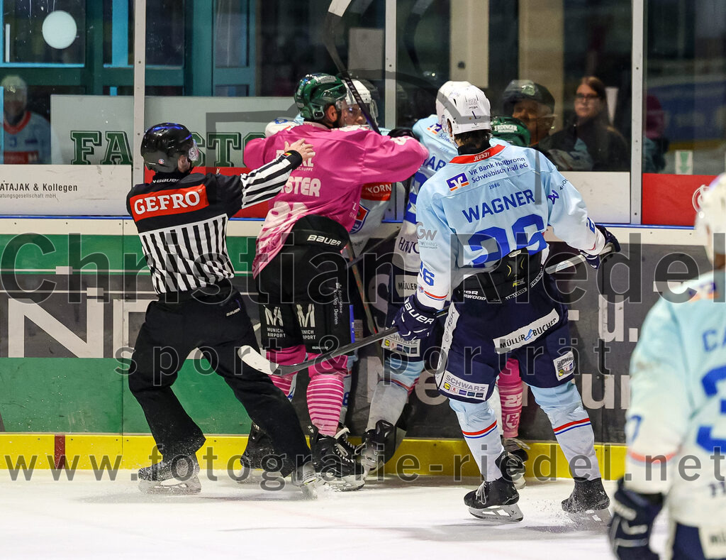 2025-10-05_148_TSV_Erding_gegen_Heilbronner_Falken | Erding, Deutschland, 05.10.2025:Eishockey, Oberliga Süd 2025 / 2026, 6. Spieltag, TSV Erding gegen Heilbronner Falken, Endergebnis: 3:1Maximilian Forster (Erding Gladiators, #81), Lukas Wagner (Heilbronner Falken, #26)Foto: Christian Riedel / fotografie-riedel.net