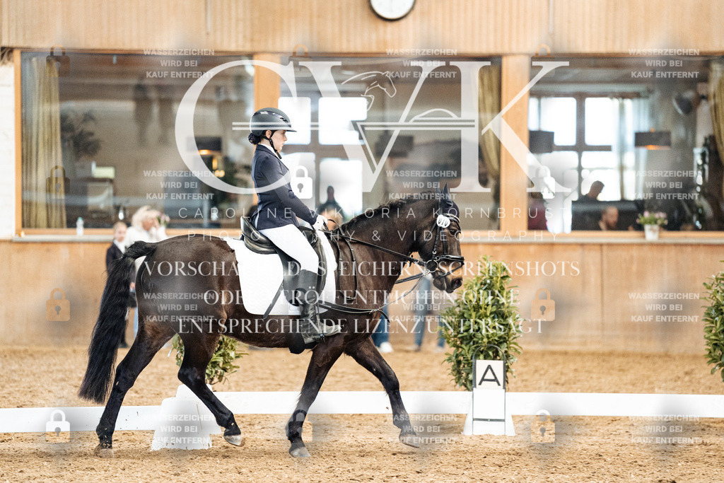 CK900187 | Turnierfotografie Pferdefotografie Trier Rheinland-Pfalz Pferdesport Reitsport Tierfotografie Sportfotografie Pferdevideo Pferdevideografie Equestrianvideography equestrianphotography  - Realisiert mit Pictrs.com