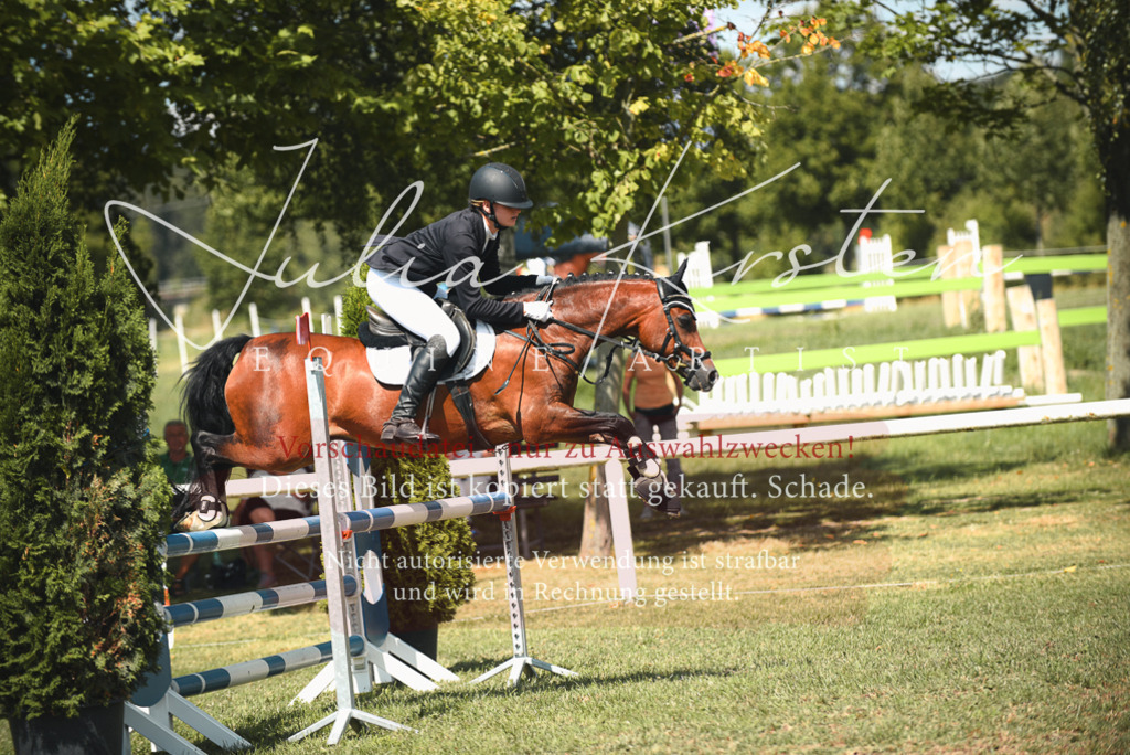 DSC_6806 | Pferde- und Turnierfotografie in Westsachsen. Pferdeportraits, Auftragszeichnungen und intuitive Kunst.