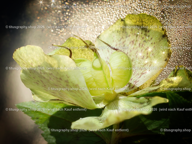 2024-04-23_006-b3_pe | Fotokunstarbeit aus der INSTAGRAM-Gallerie auf titusgraphy.eu - Realisiert mit Pictrs.com