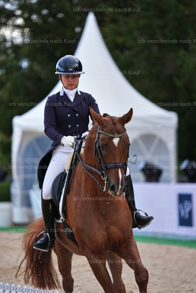 10-113-ST.GEORG SPECIAL -Marixx-3316 | working equitationturnier fotograf videograf stoibphotography marixx film working equitation deutschland reitsport turnierfotografie eventfotografie equestrian events