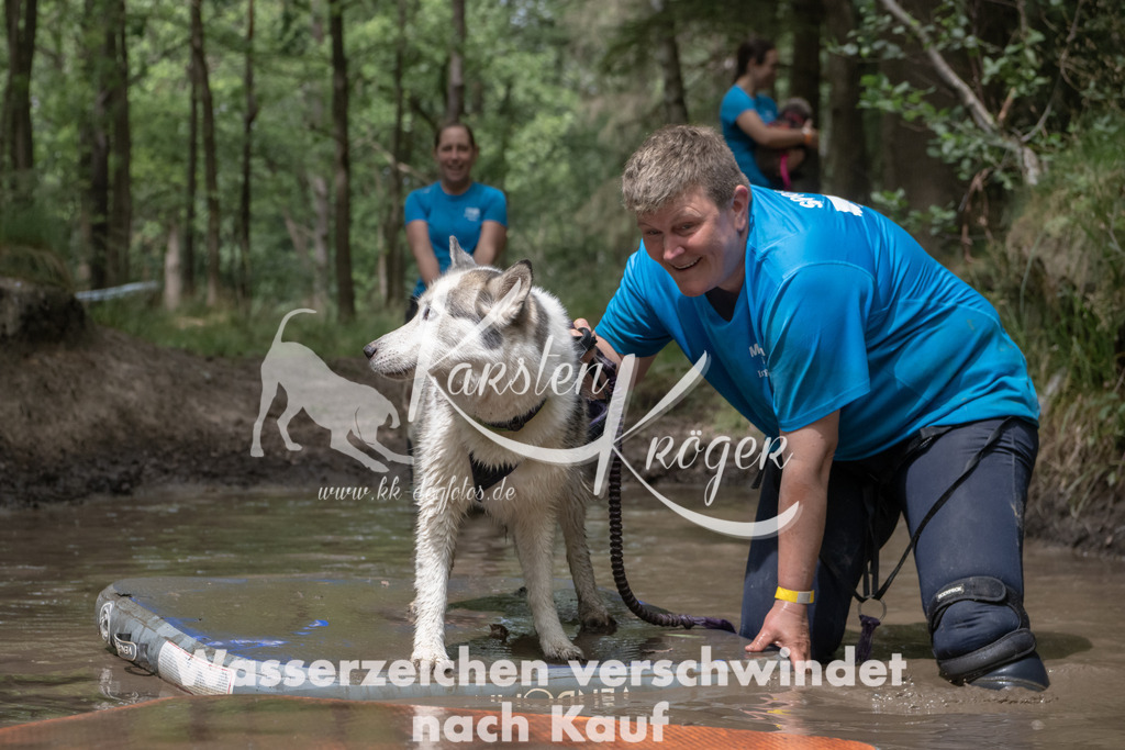 1356_ZZ96374 | kk-dogfotos