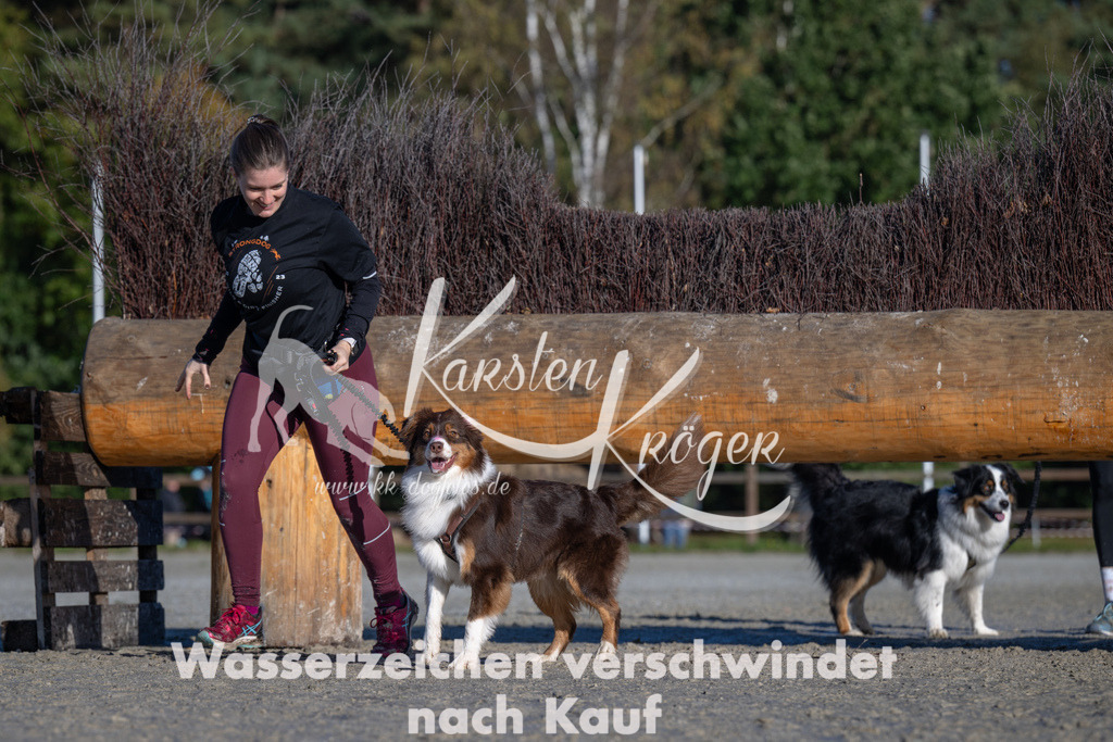 1039-_ZZ91972 | kk-dogfotos