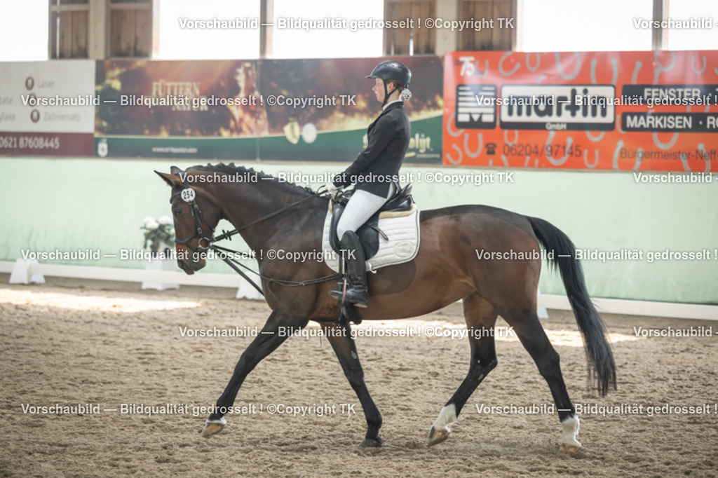 _D5A5459 | Emotionale Pferde- & People-Fotografie rund um Heidelberg, Leimen & Umgebung. Natürliche Fotos von Pferd, Mensch & Familie. Jetzt Termin sichern!