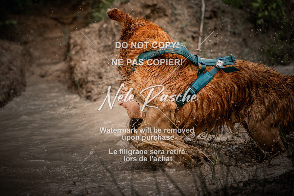 nelerasche_Hoope2026_Sa0900-0930_290 | nelerasche